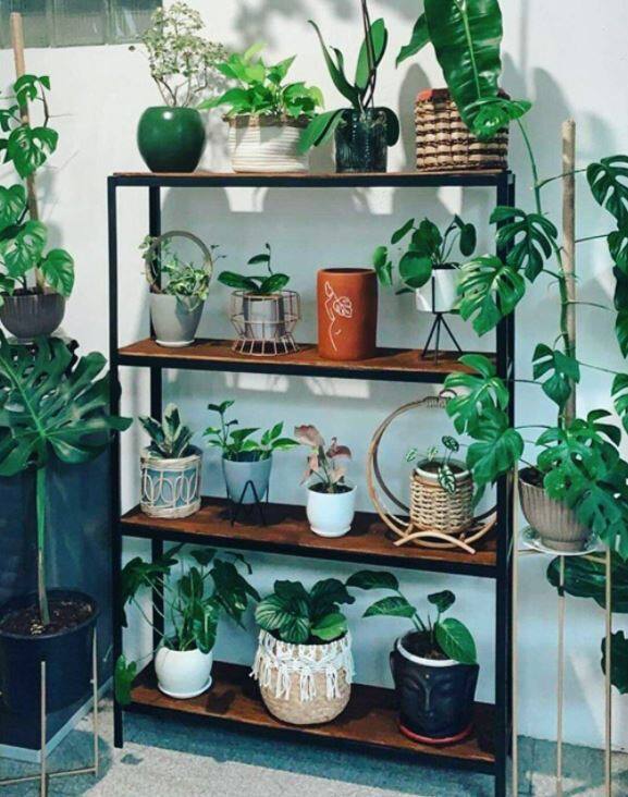 10 Clever Plant Racks That Will Organize And Beautify Your Green Spaces